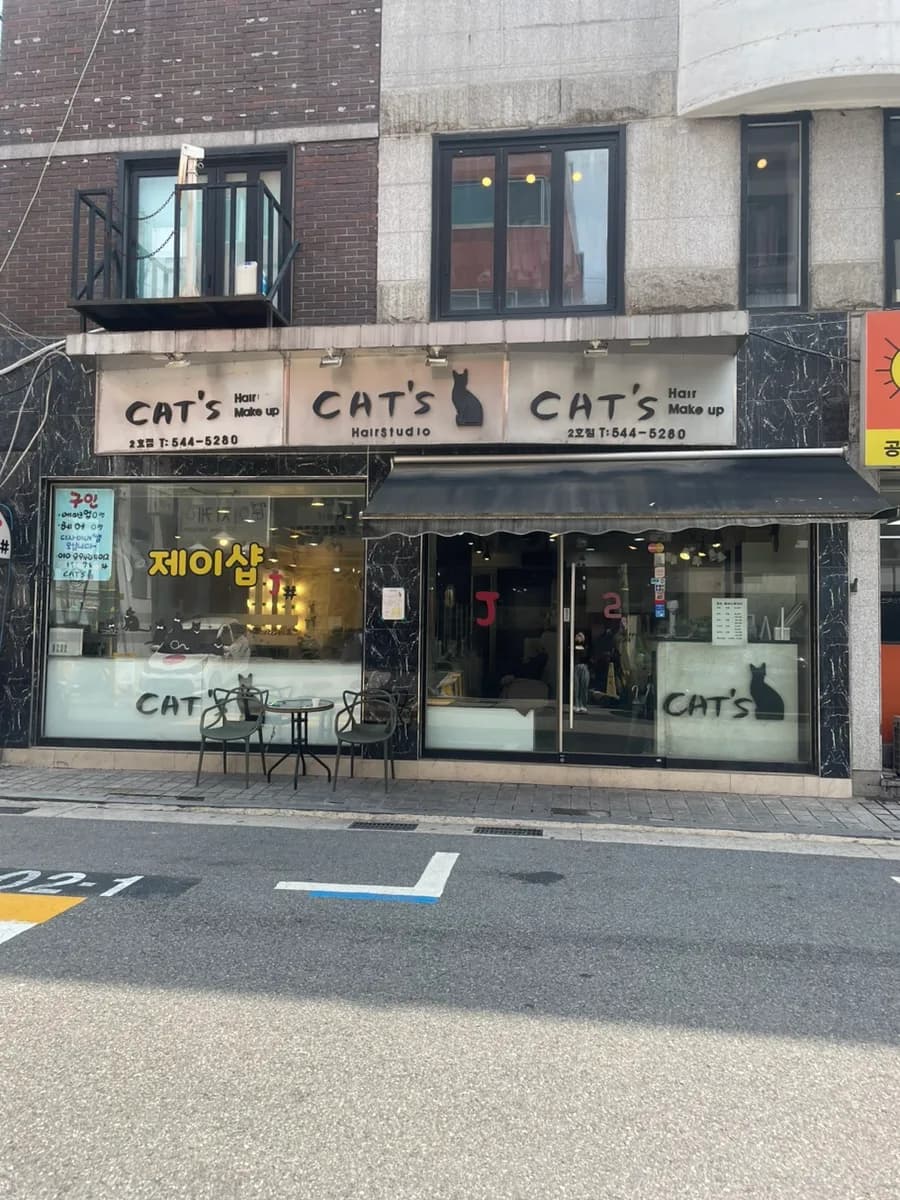 캣츠 2호점 대표 이미지